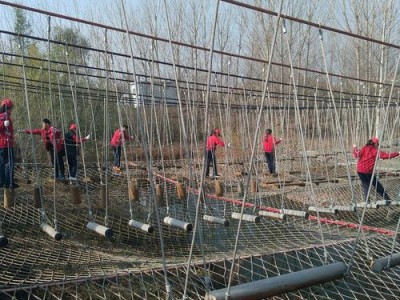 《天狱飞龙》：勇气与智慧交织的热血冒险之旅