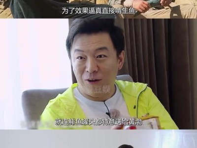 《男人帮》：幽默深刻探讨现代男性生活与情感挑战的剧集