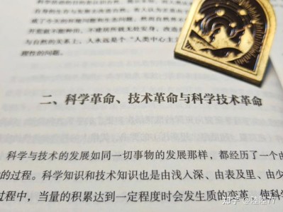 《一站到底》：智慧与勇气的知识盛宴，观众的思考与娱乐交融之旅