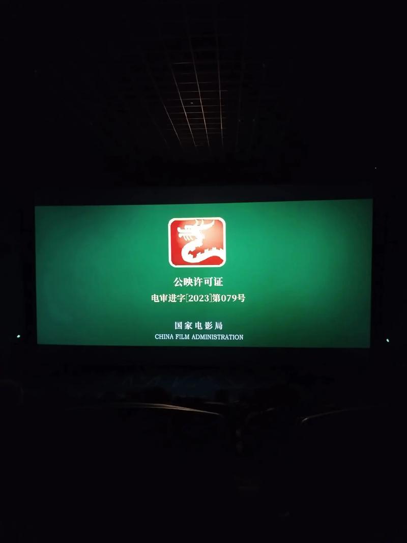 《拿破仑传3》：史诗般的传奇与人性深刻探讨的震撼之作