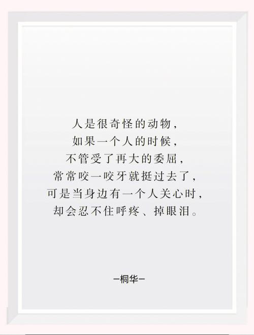 《最美的时光29》：青春成长与情感交织的感人故事